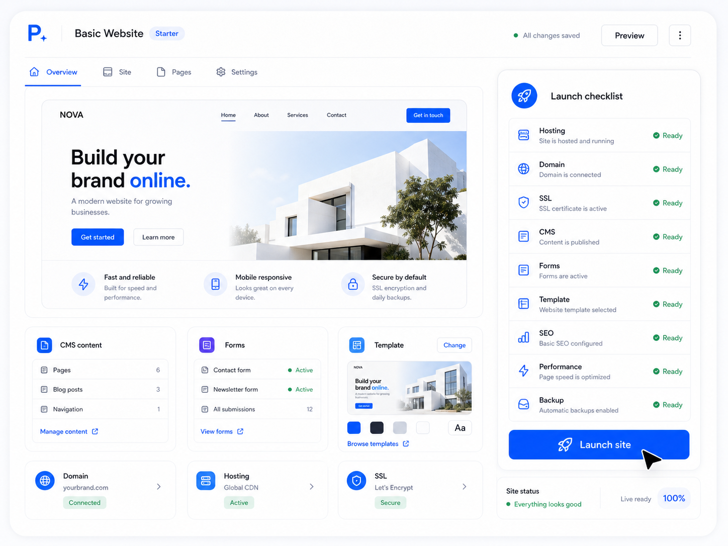 Paazaa basic website launch visual with hosting, SSL, pages, forms, templates, domain readiness, and publishing checks